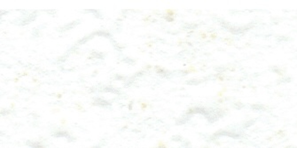 scan0006_003