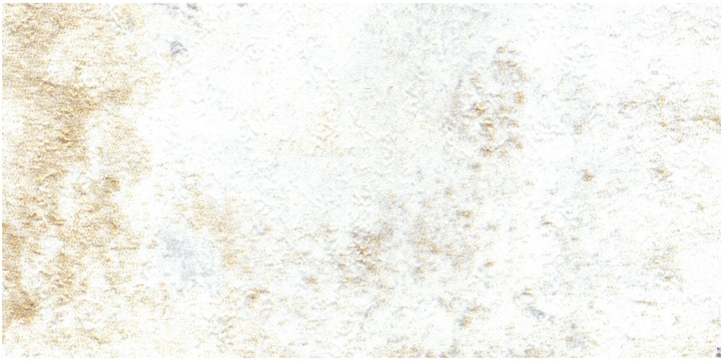 scan0006_004