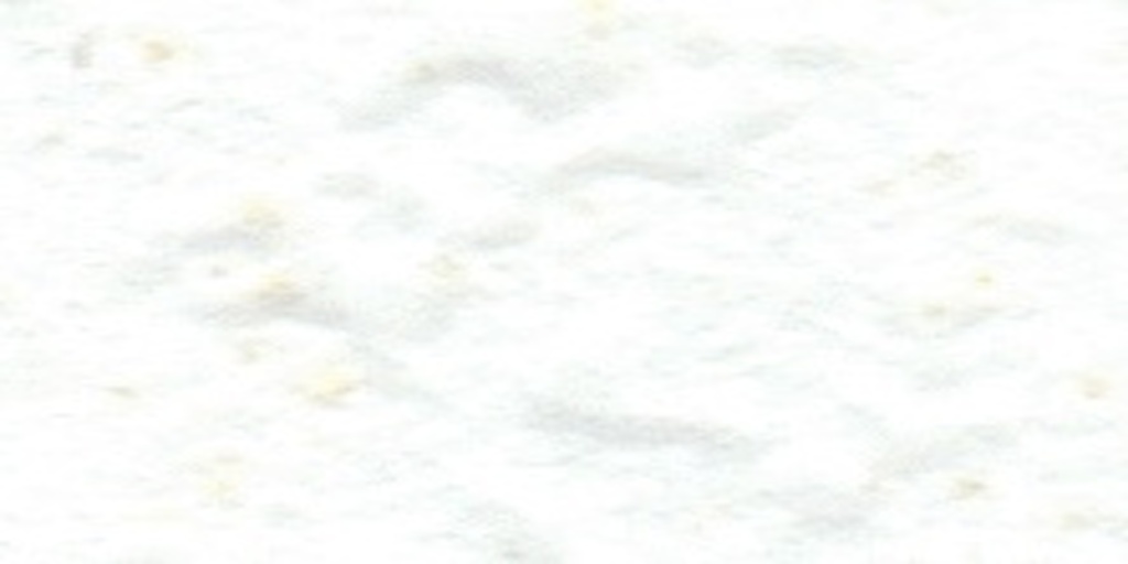 scan0006_005