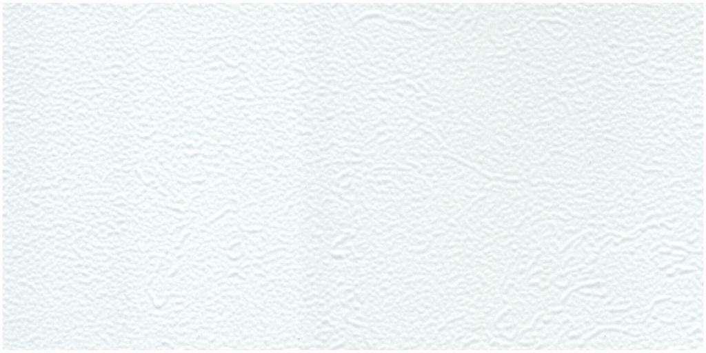 scan0038_004
